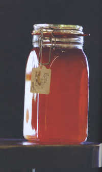 Rose Hip Syrup